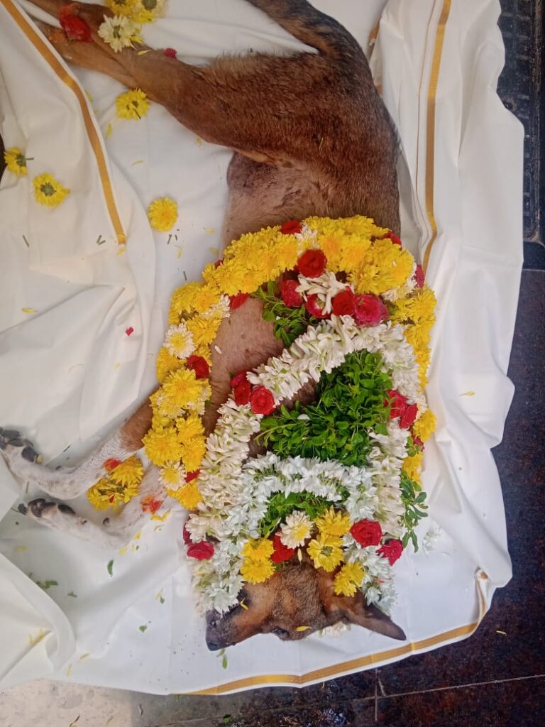 quality pets funeral services bangalore
