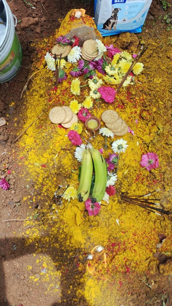 quality pets funeral services bangalore